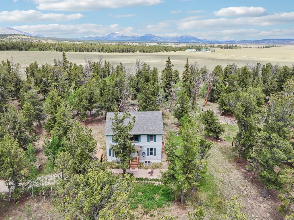 1637 Mullenville Road Fairplay, CO 80440 - Photo 46 of 50 Gallery Image 46