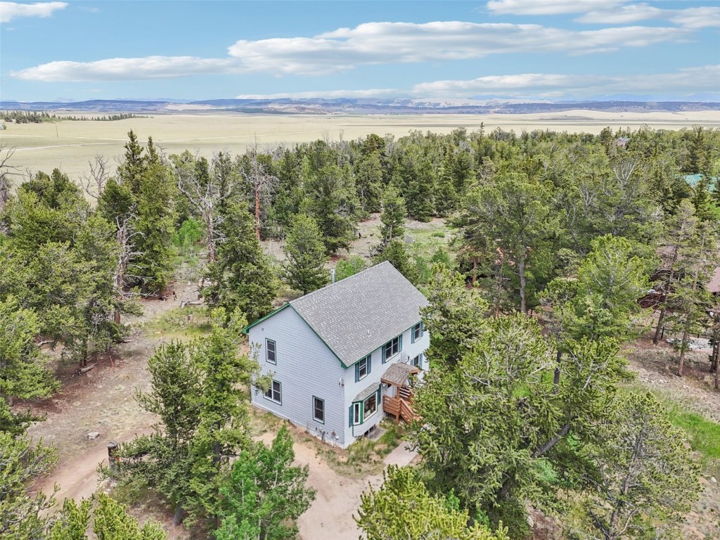 1637 Mullenville Road Fairplay, CO 80440 - Photo 47 of 50 Gallery Image 47