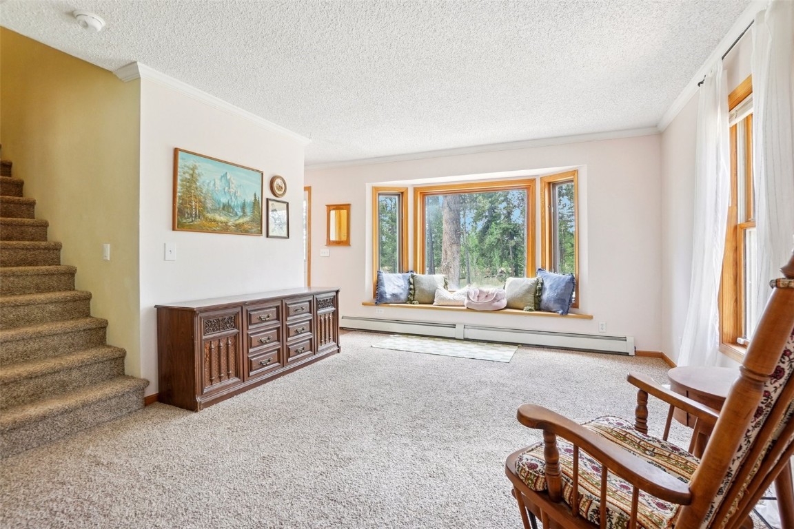 1637 Mullenville Road Fairplay, CO 80440 - Photo 5 of 50 Gallery Image 5