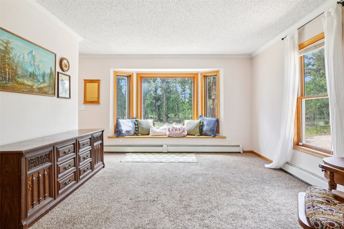 1637 Mullenville Road Fairplay, CO 80440 - Photo 6 of 50 Gallery Image 6