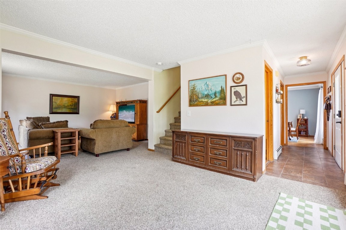 1637 Mullenville Road Fairplay, CO 80440 - Photo 7 of 50 Gallery Image 7