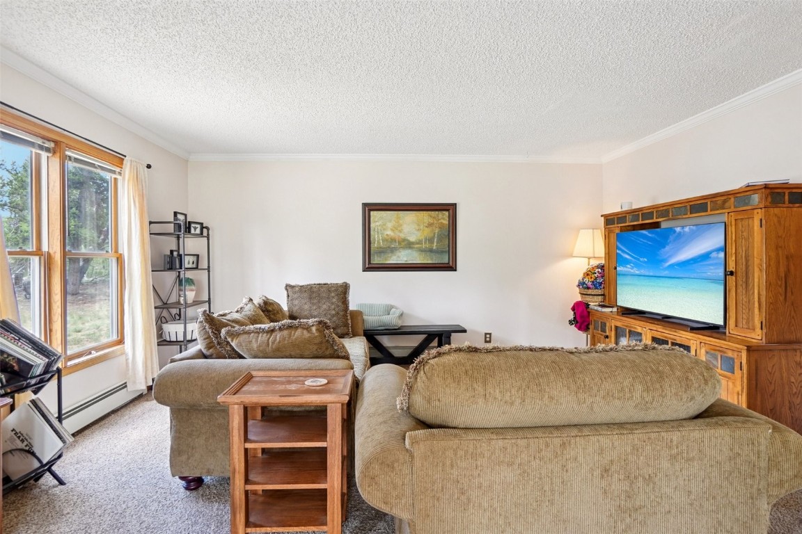 1637 Mullenville Road Fairplay, CO 80440 - Photo 8 of 50 Gallery Image 8