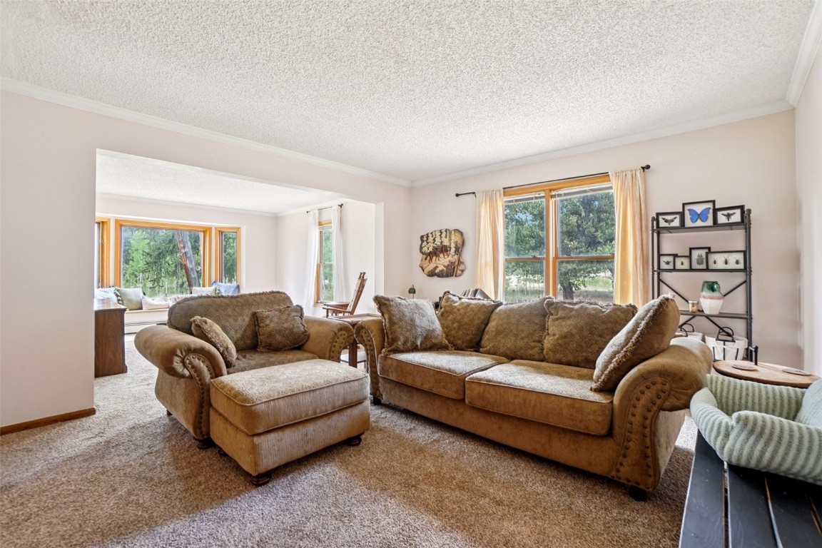 1637 Mullenville Road Fairplay, CO 80440 - Photo 9 of 50 Gallery Image 9
