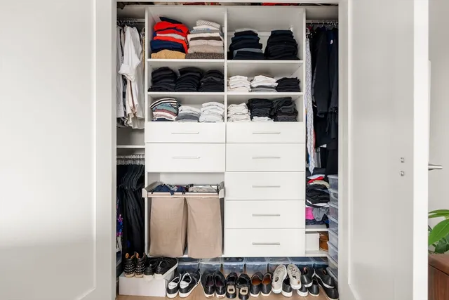 a view of walk in closet and storage