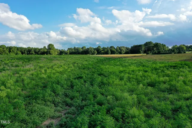 a view of a green field with lots of trees