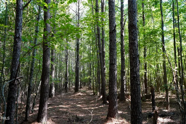 a view of outdoor space and green space