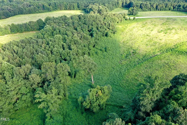 a view of yard with green space