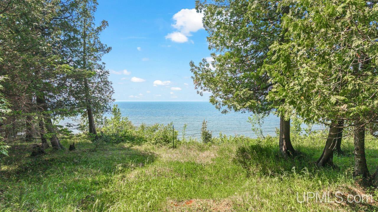5217 County Road 513 Road Rapid River, MI 49878 - Photo 14 of 14