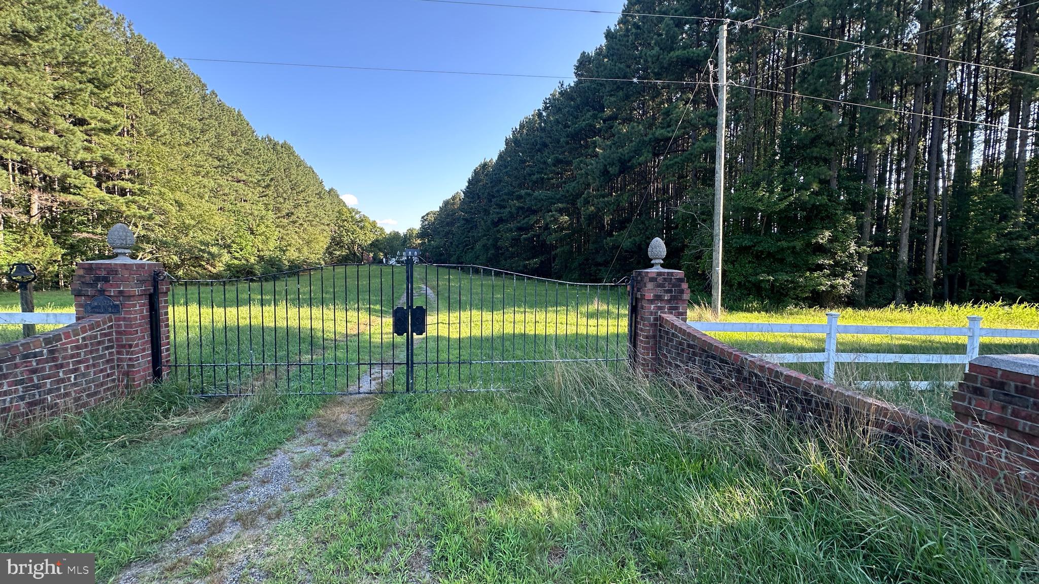 2788 Great Oak Road Warfield, VA 23889 - Photo 68 of 68 view from road
