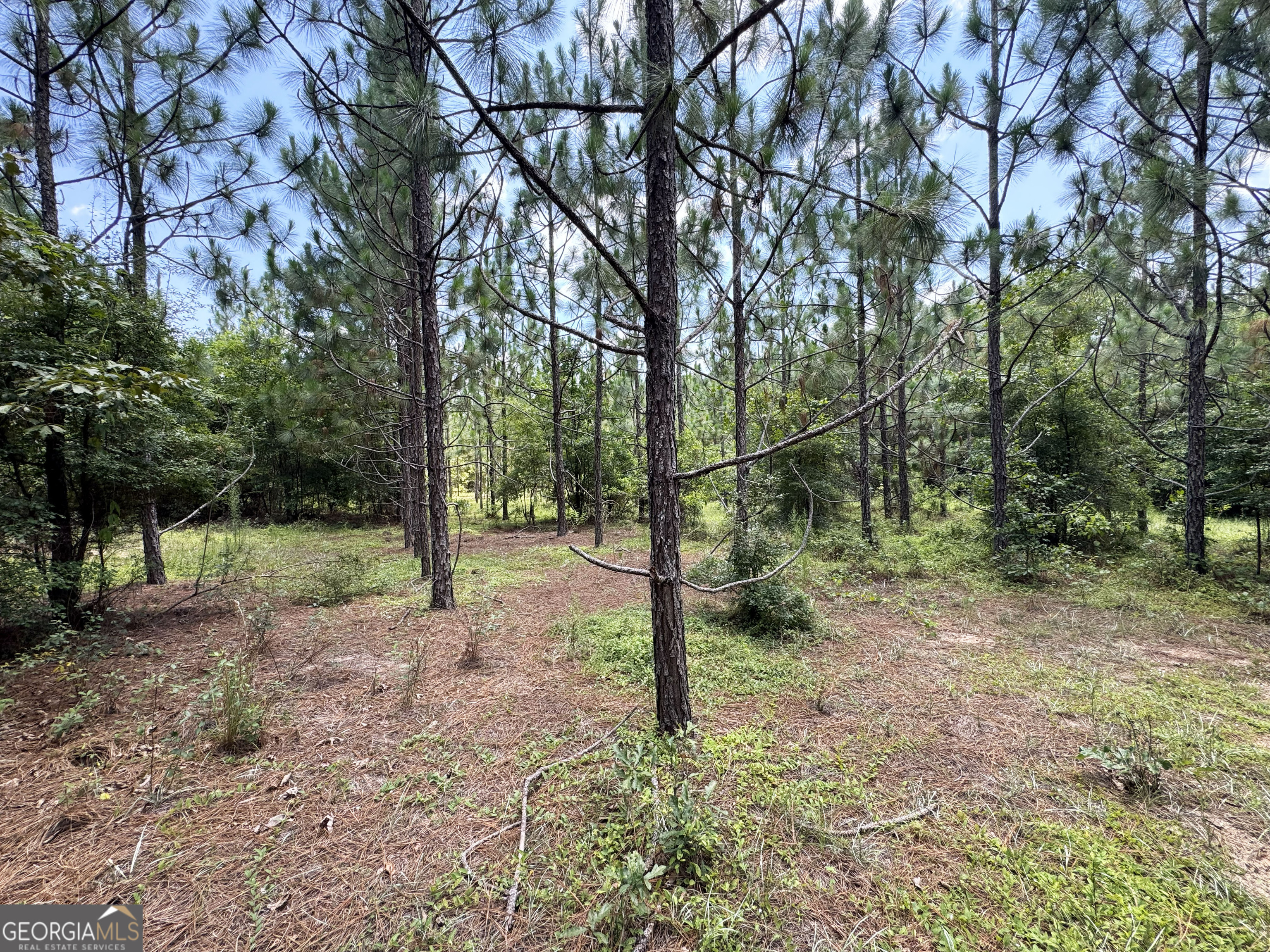 Tbd Tbd Wooten Road Cuthbert, GA 39840 - Photo 55 of 71