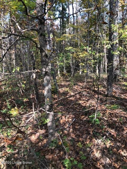 0 Poplar Ridge Road Cub Run, KY 42729 - Photo 4 of 11 PR04