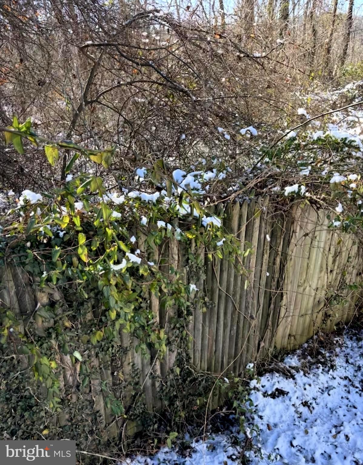 148 1st Street Lothian, MD 20711 - Photo 23 of 29