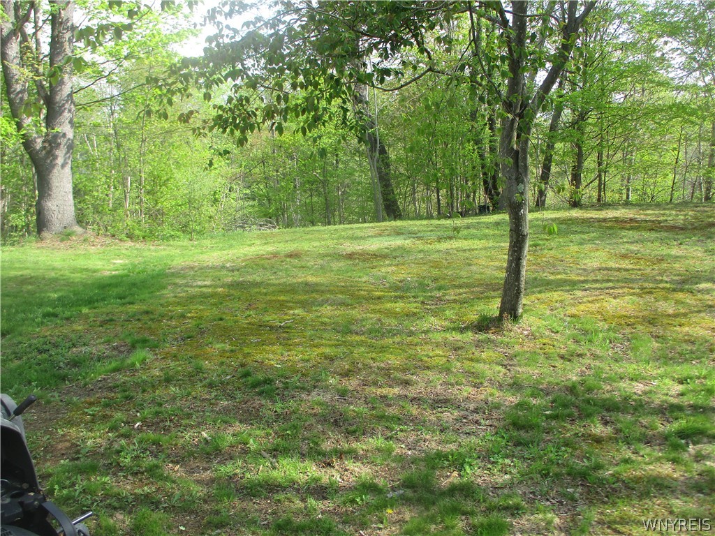 11540 Bolton Road Yorkshire, NY 14141 - Photo 8 of 16 behind building