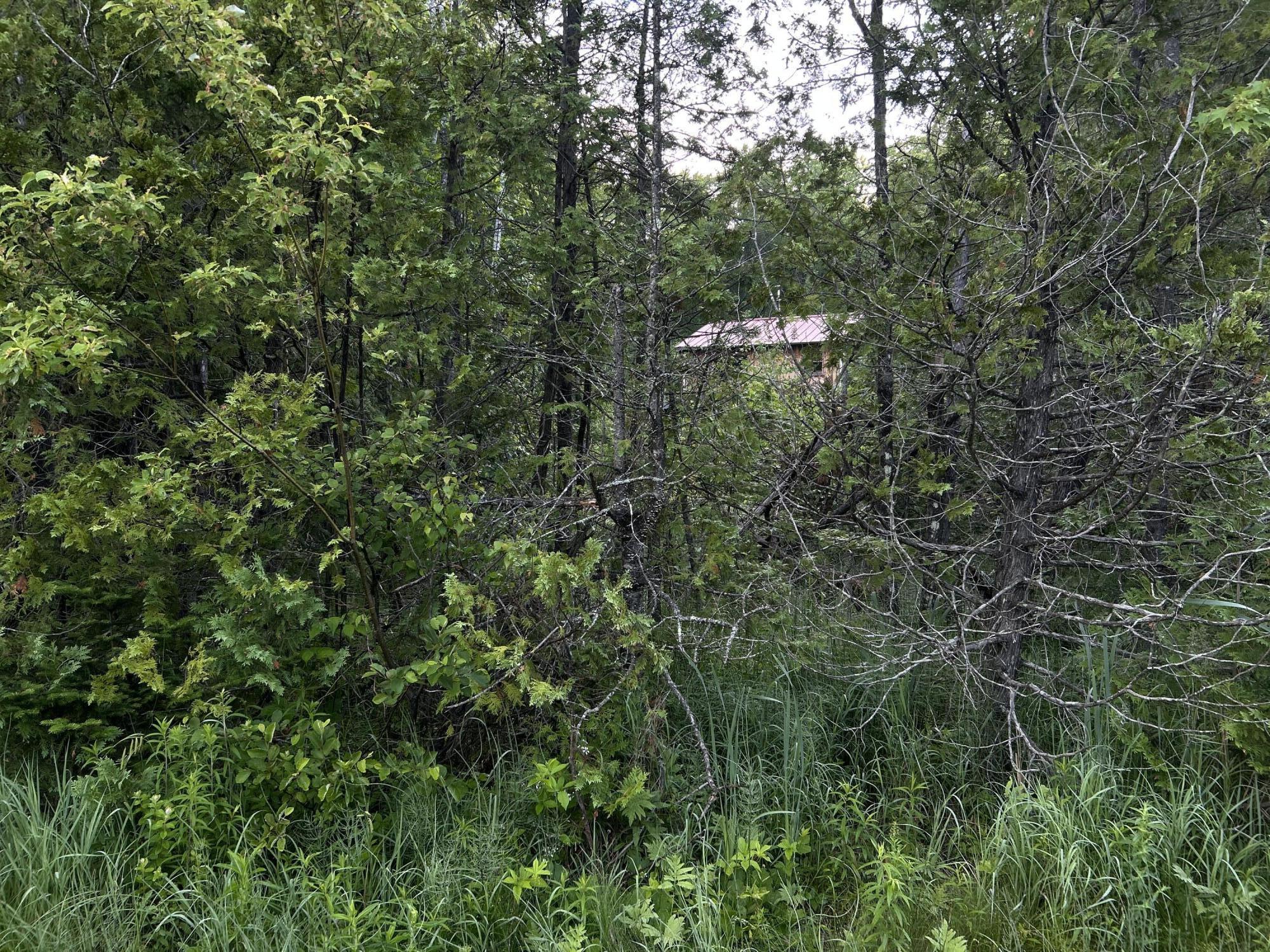 24a Anson Valley Road New Vineyard, ME 04956 - Photo 13 of 93 IMG_4939