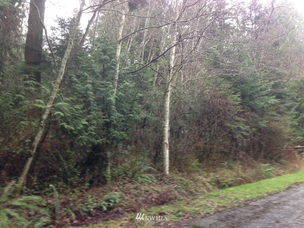 15-lot Baher Road Point Roberts, WA 98281 - Photo 1 of 3