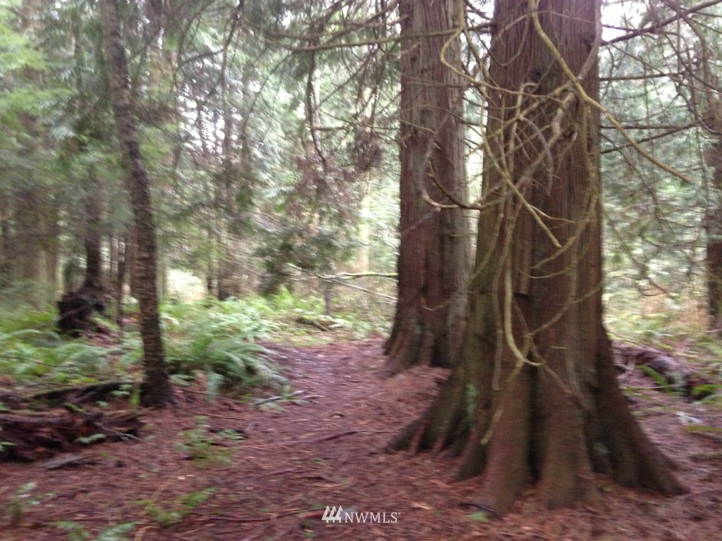 15-lot Baher Road Point Roberts, WA 98281 - Photo 2 of 3