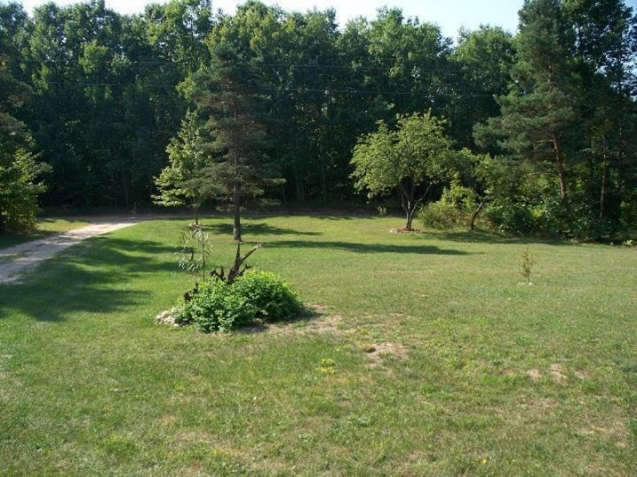 4022 East Buchanan Road Shelby, MI 49455 - Photo 7 of 24 Additional Photo