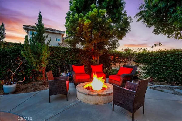 a outdoor space with the couches and a potted plant
