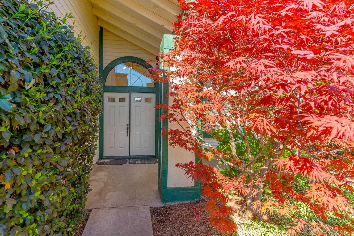 4209 Godfrey Drive Salida, CA 95368 - Photo 3 of 34 a front view of a house with a yard