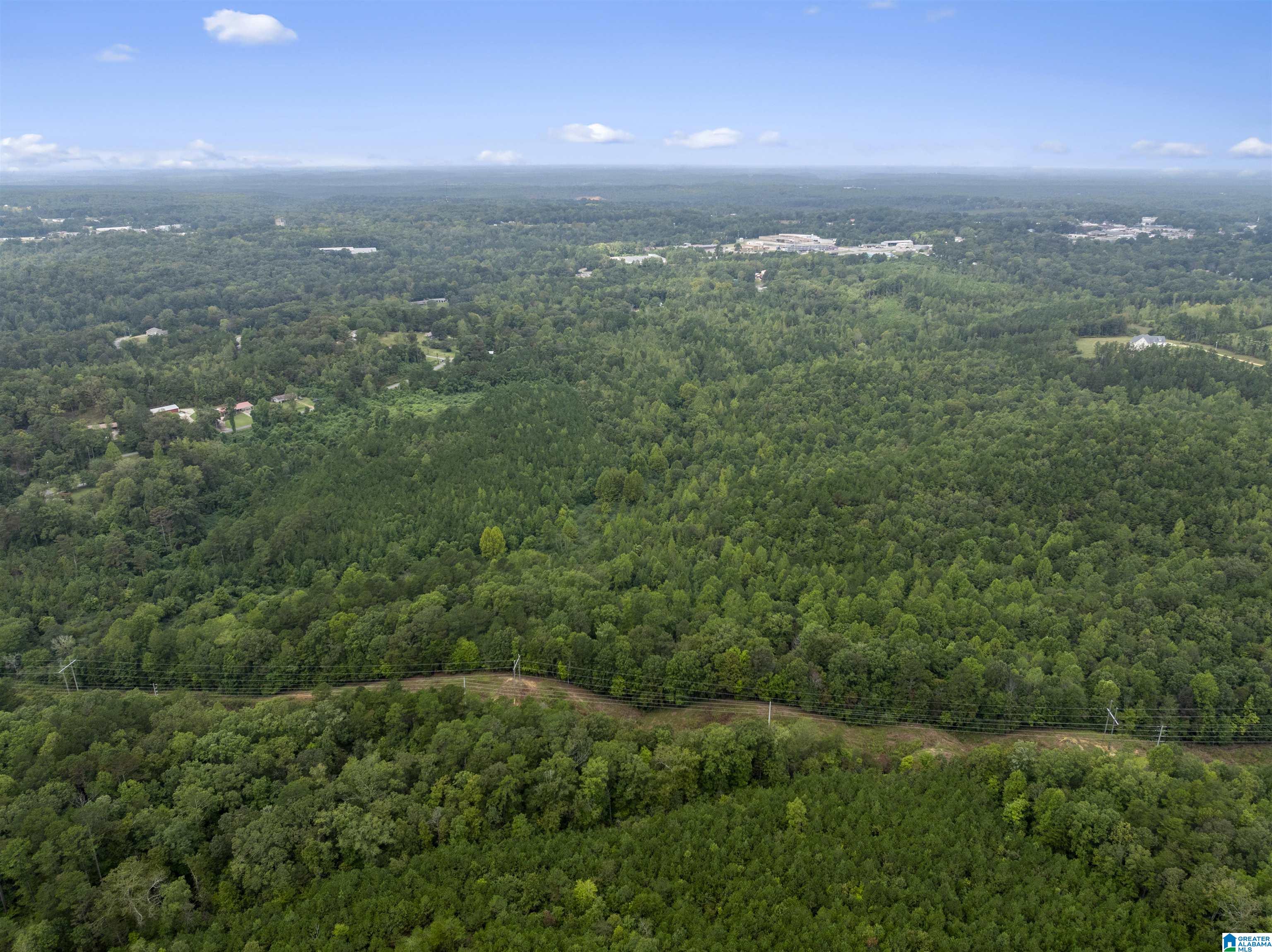 0 Beech Grove Road, Unit 1 Haleyville, AL 35565 - Photo 9 of 12