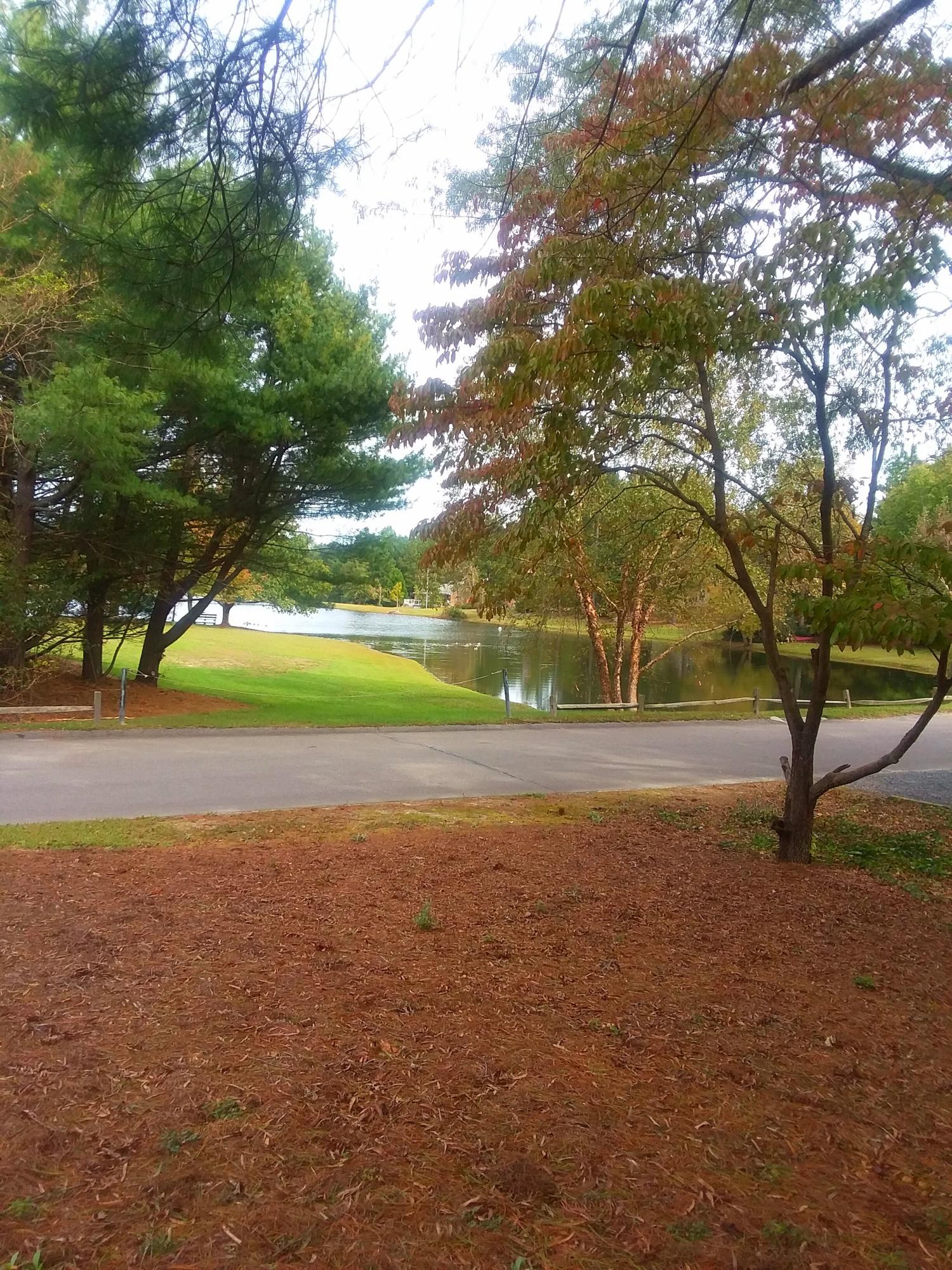 111 Shagbark Road West End, NC 27376 - Photo 18 of 33 View to Lake