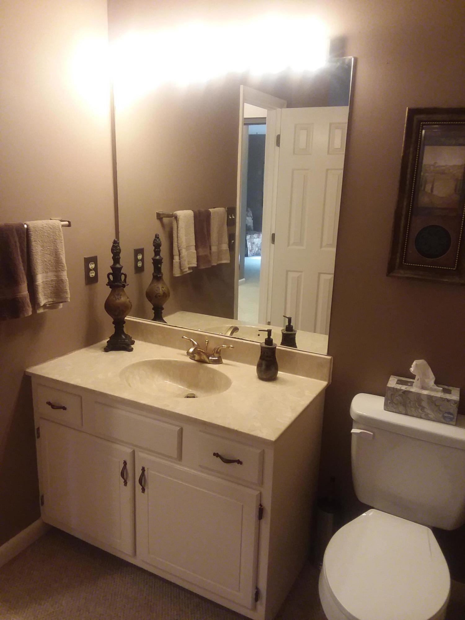 111 Shagbark Road West End, NC 27376 - Photo 21 of 33 Master Bath