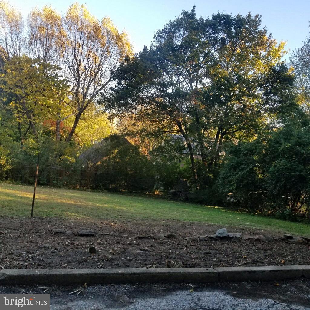 208 Wyncote Road Jenkintown, PA 19046 - Photo 37 of 77 Very Large Backyard!