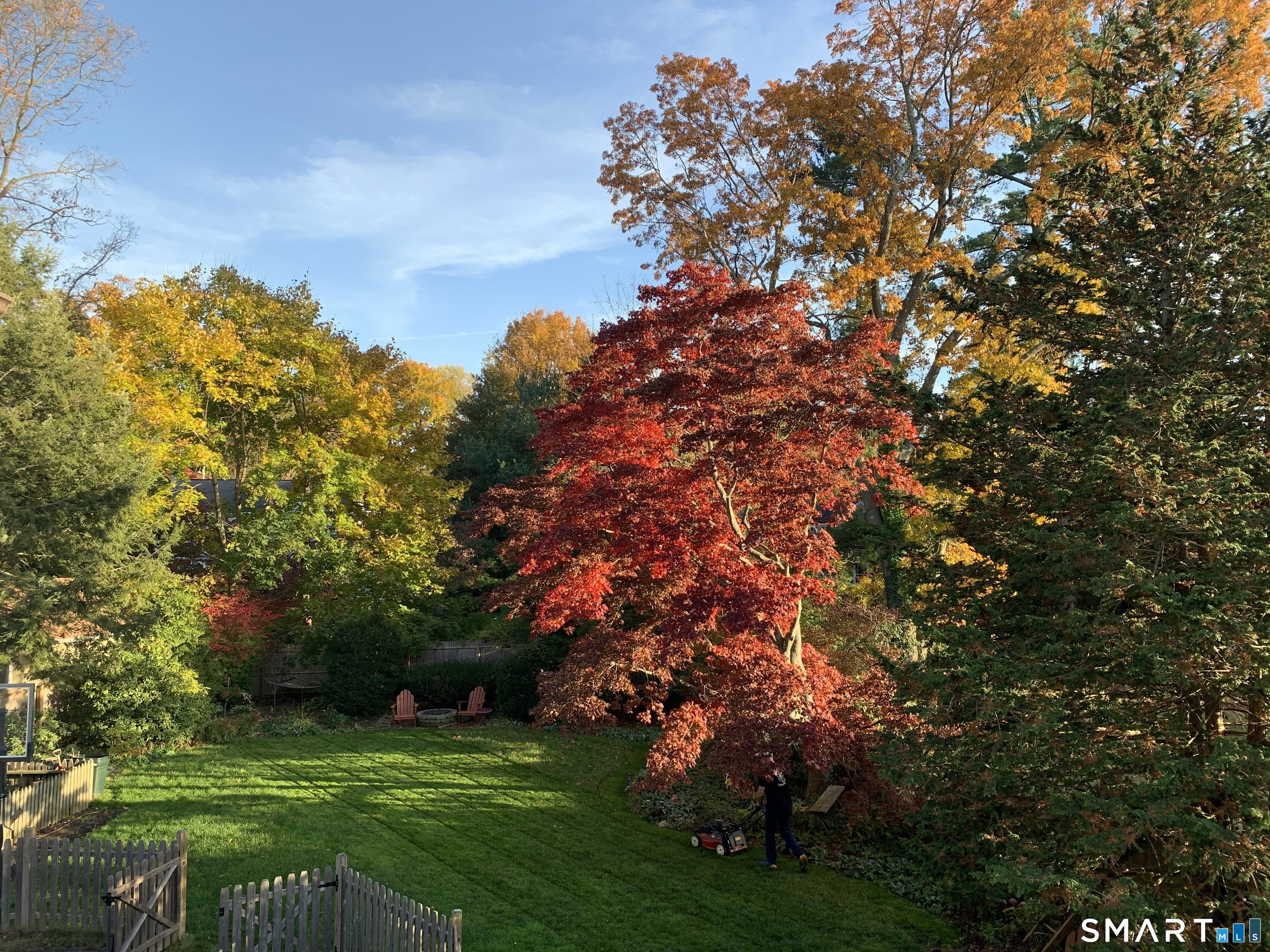 59 Broadfield Road Hamden, CT 06517 - Photo 30 of 40 a backyard of a house with lots of green space
