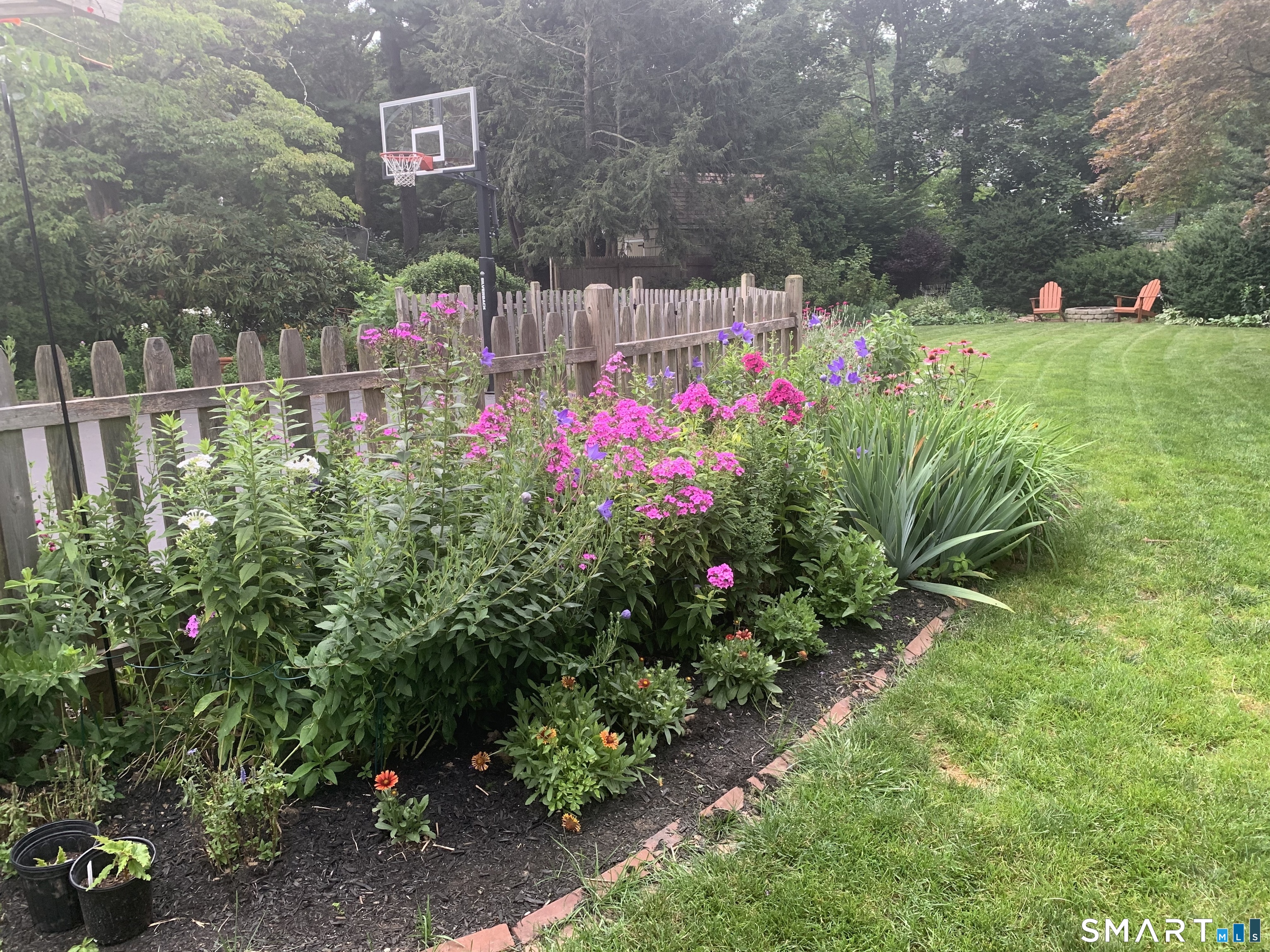 59 Broadfield Road Hamden, CT 06517 - Photo 35 of 40 a view of yard with flowers and trees