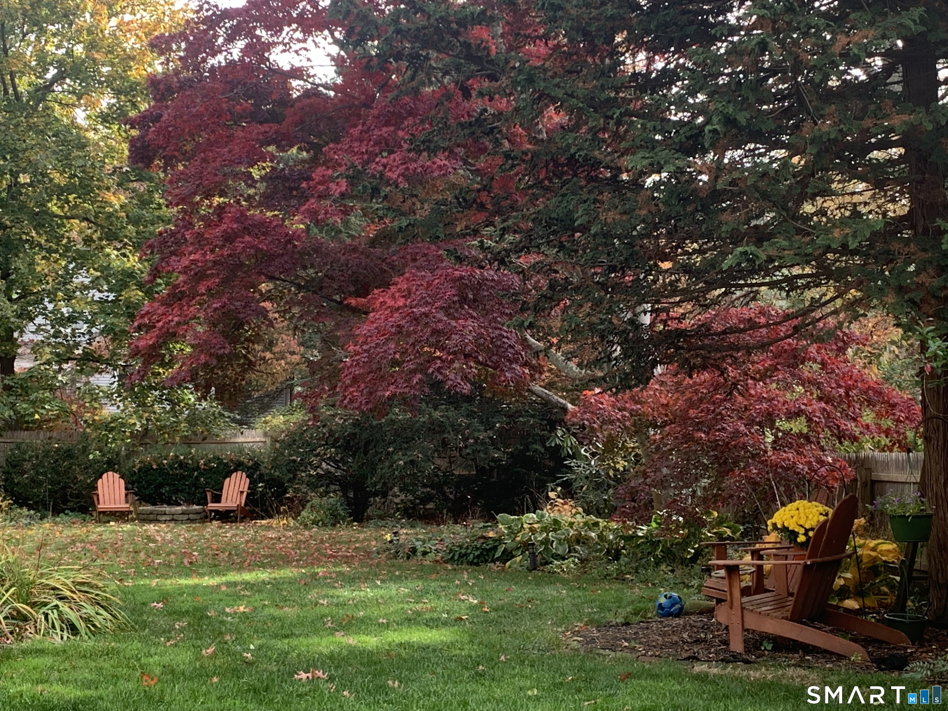 59 Broadfield Road Hamden, CT 06517 - Photo 37 of 40 a backyard of a house with lots of green space