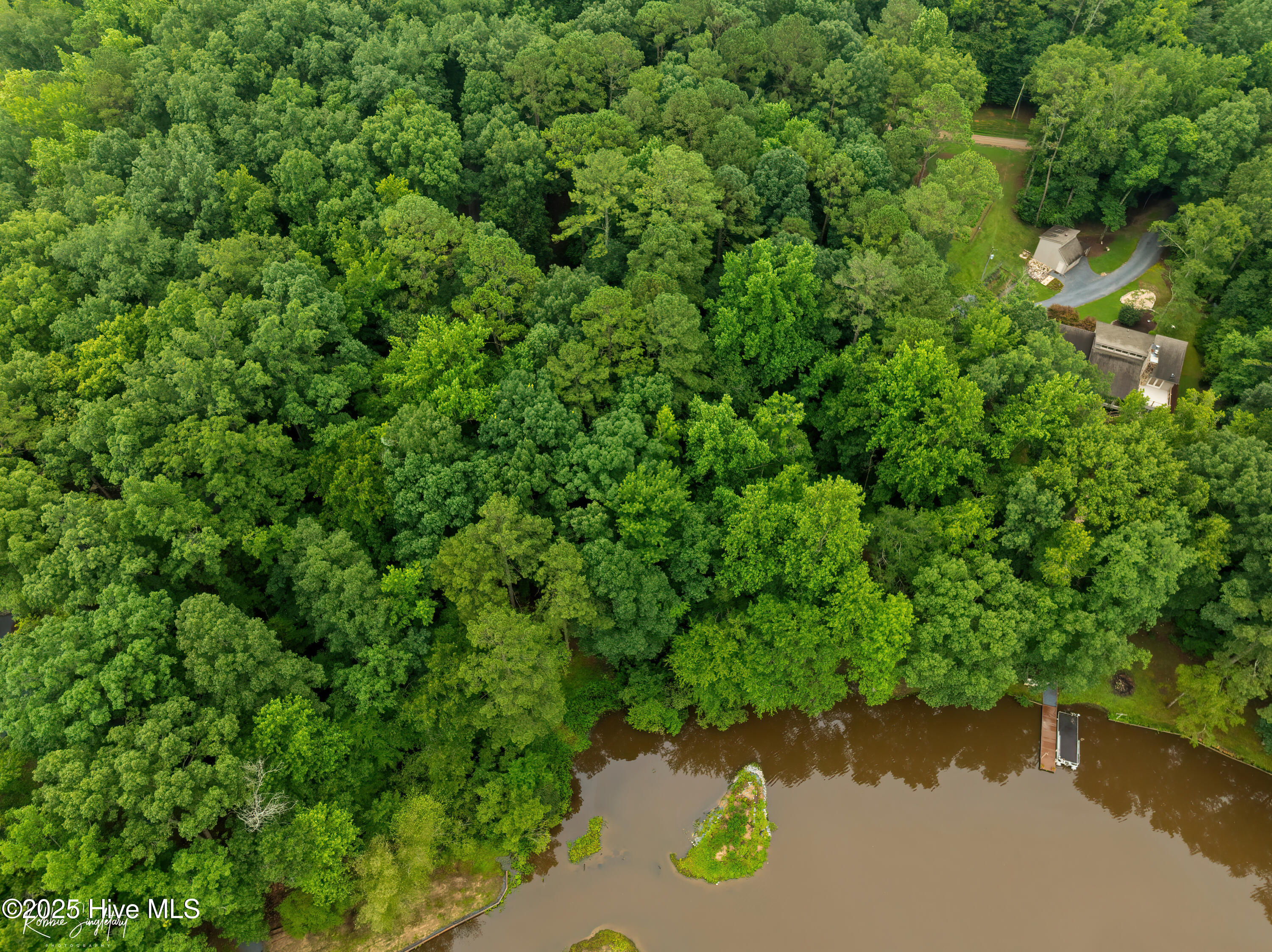299 Rankin Lake Road Ellerbe, NC 28338 - Photo 53 of 61 RS 1 DJI_0546