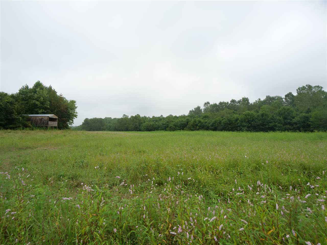 Great River Road Memphis, TN 38127 - Photo 3 of 7 Gallery Image 3