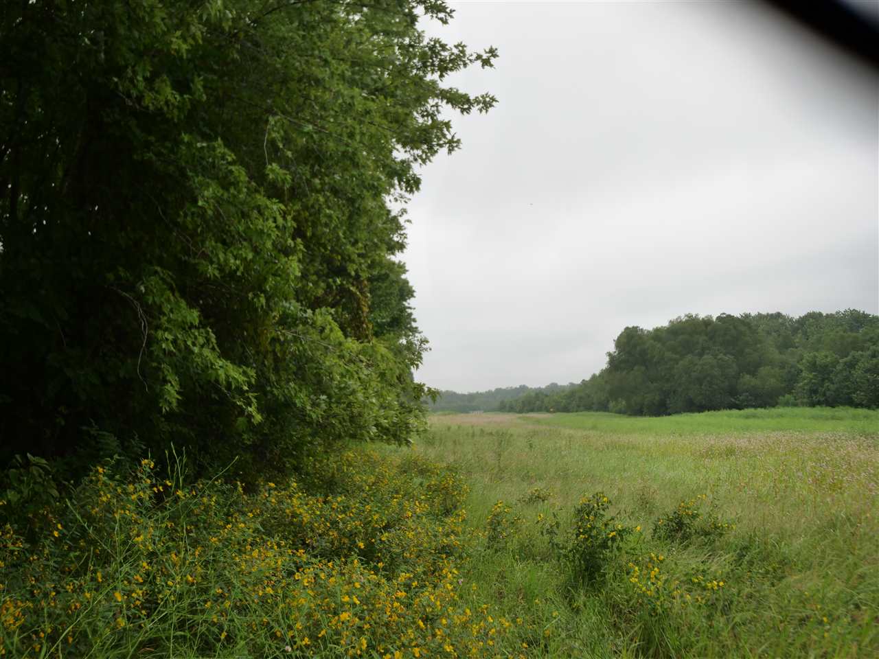 Great River Road Memphis, TN 38127 - Photo 5 of 7 Gallery Image 5