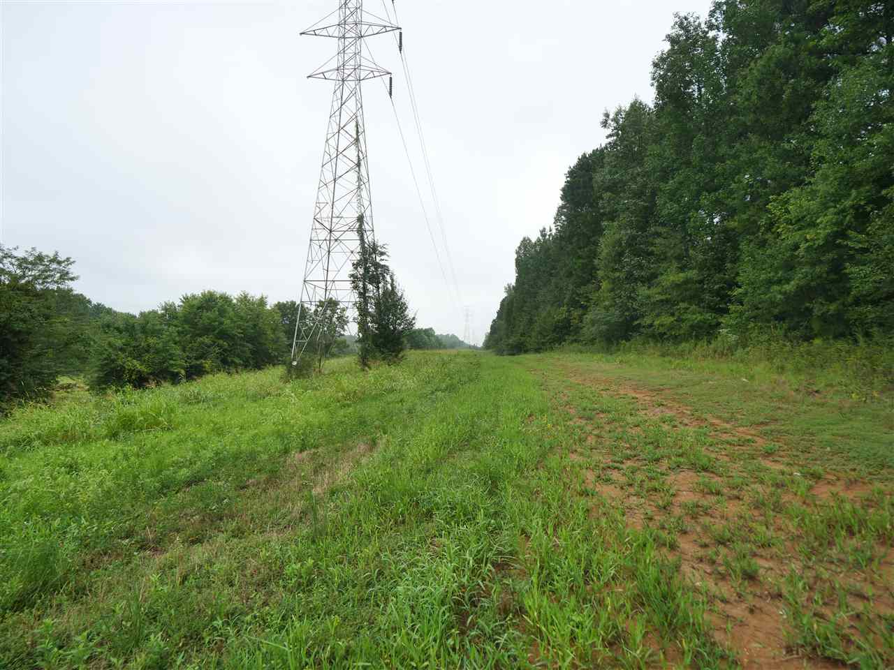 Great River Road Memphis, TN 38127 - Photo 6 of 7 Gallery Image 6