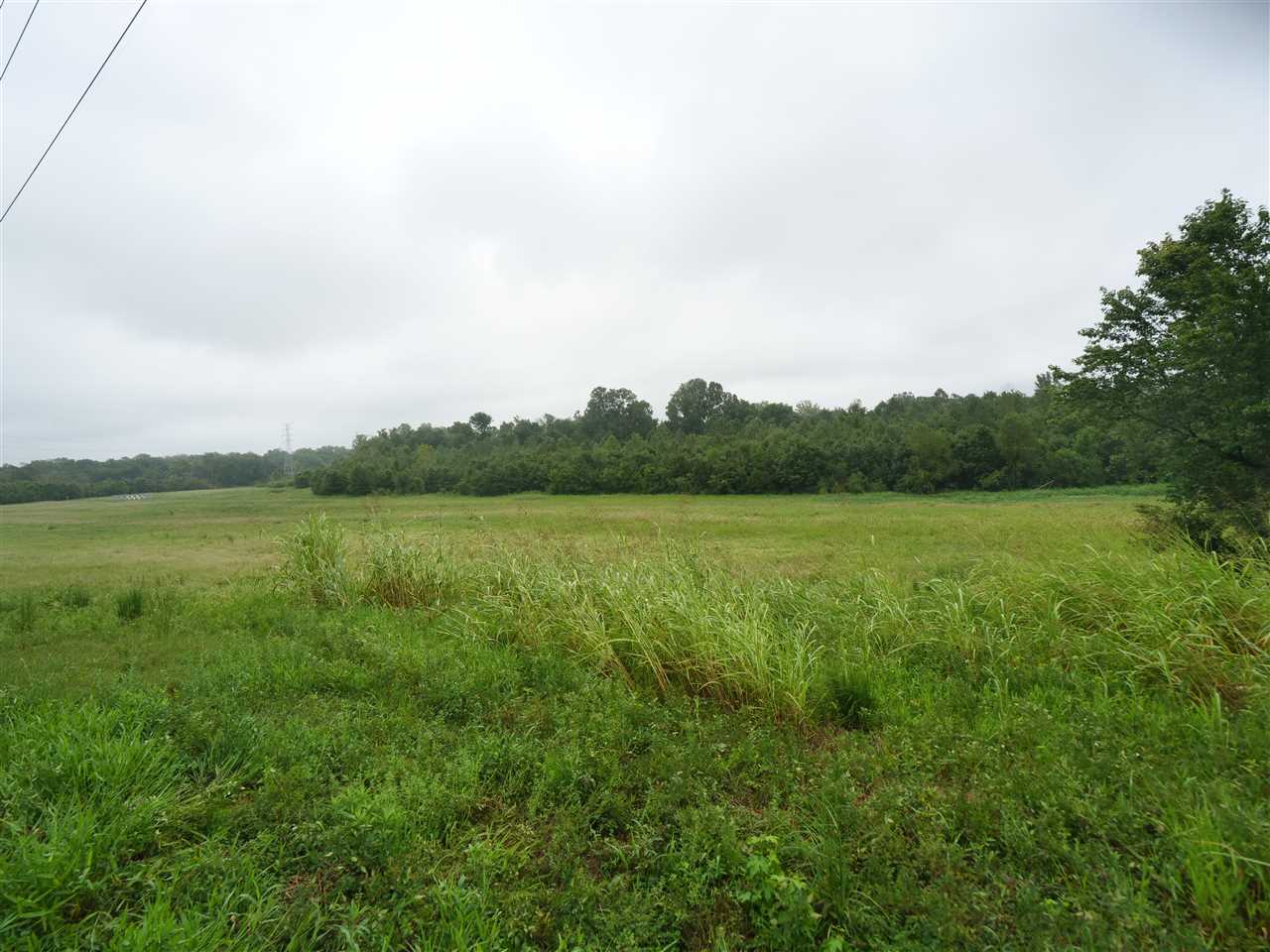 Great River Road Memphis, TN 38127 - Photo 7 of 7 Gallery Image 7