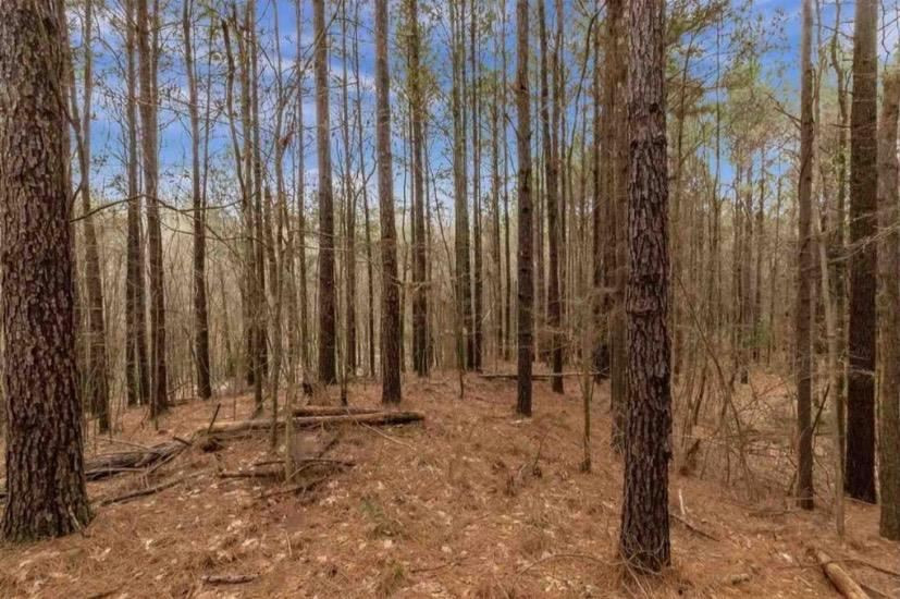 1156 Gallatin Road Crystal Springs, MS 39059 - Photo 33 of 35 Photo 33