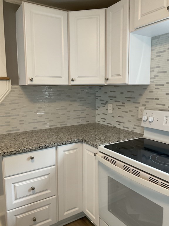 24 Ina Street Springfield, MA 01109 - Photo 8 of 22