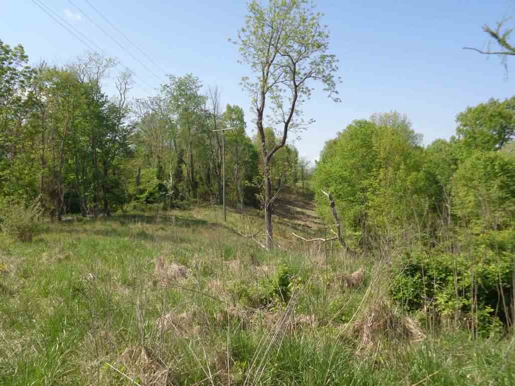 0 Rush Hollow Road Ona, WV 25545 - Photo 3 of 11 Gallery Image 3