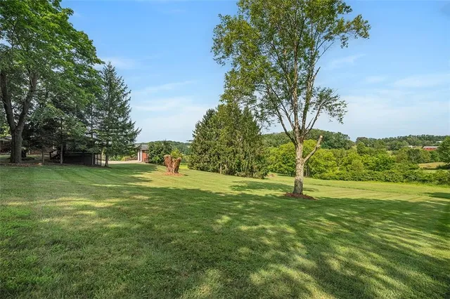 a view of a field with grass and trees