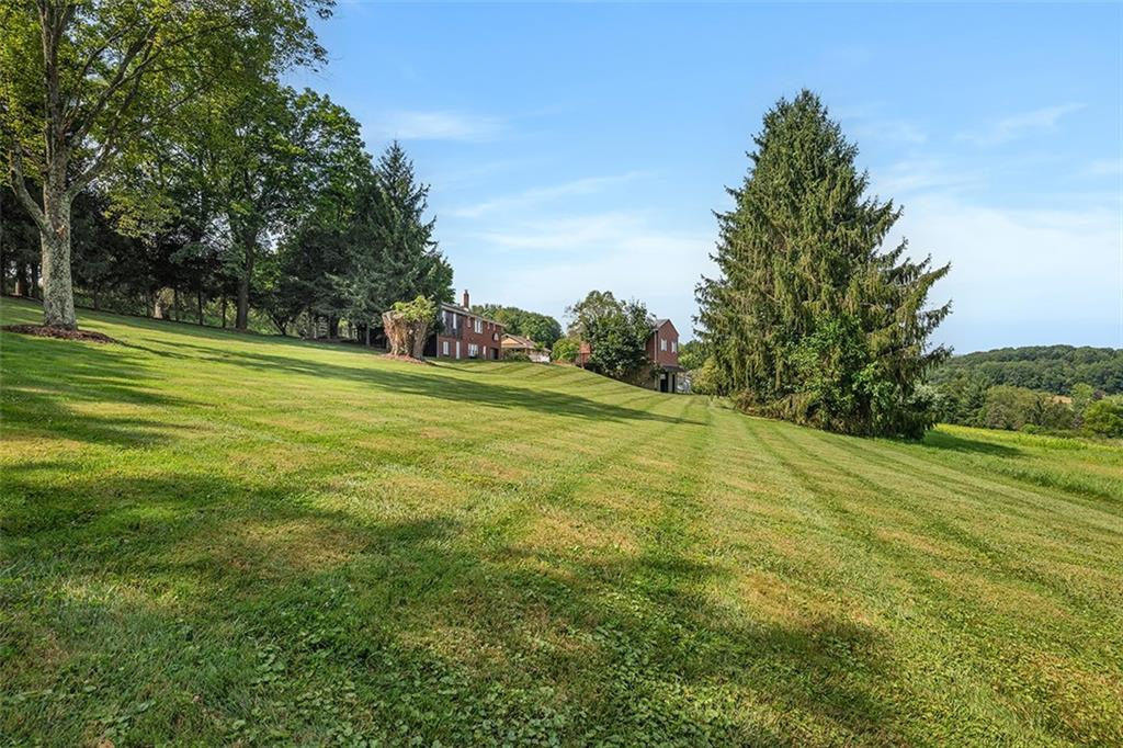632 Sandy Hill Road Valencia, PA 16059 - Photo 43 of 48 a yard with lots of trees and plants
