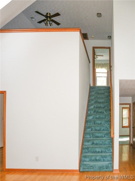 16821 Holly Point Road Williamsburg, VA 23185 - Photo 13 of 13 Gallery Image 13