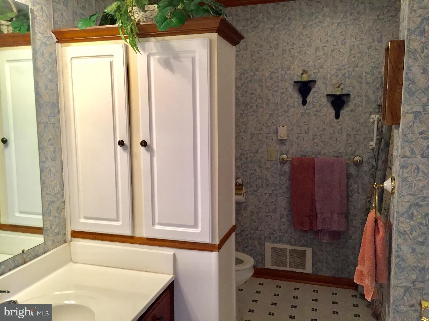 2226 Prospect Church Road Harrington, DE 19952 - Photo 8 of 25 Master Bathroom
