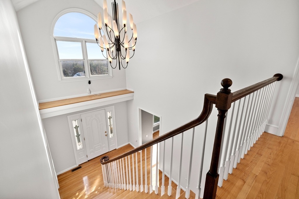 97 Harrington Road Waltham, MA 02452 - Photo 19 of 41