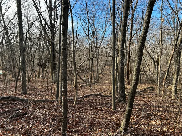 a backyard of a house with lots of trees