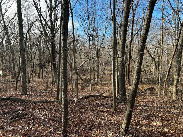 a backyard of a house with lots of trees