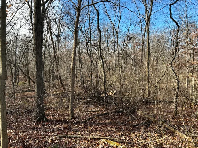 a sign on a pole on a street