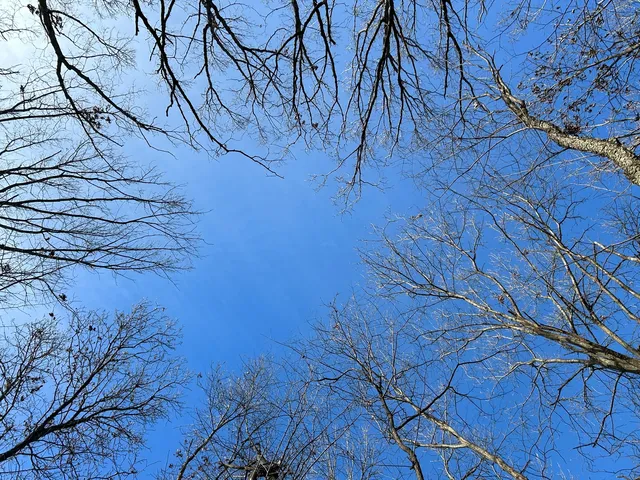 a black and white photo of a