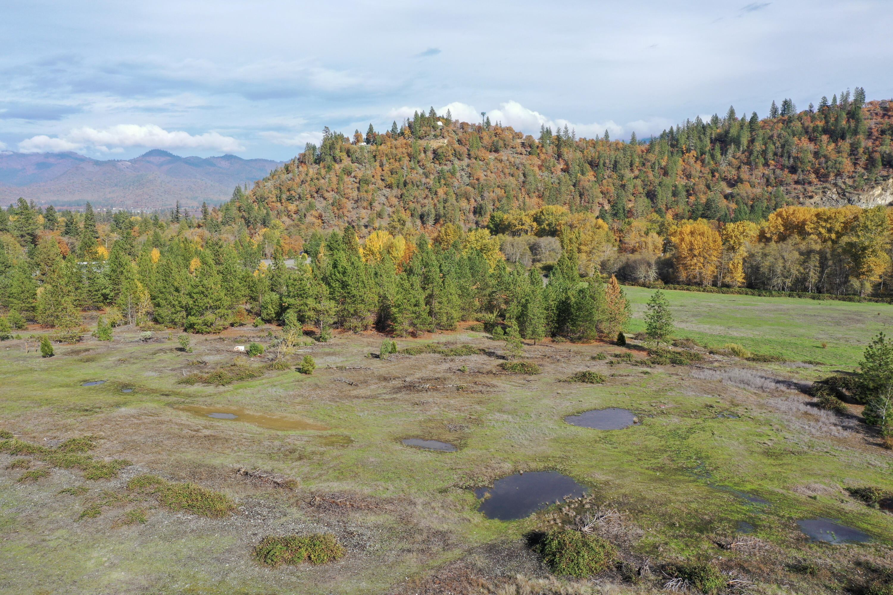500 Powell Creek Road Williams, OR 97544 - Photo 12 of 28 11-DJI_0024