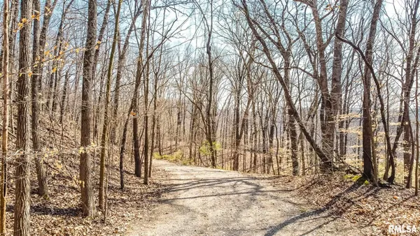 $320,000 | Tbd Berryville Road, Jonesboro, IL 62952