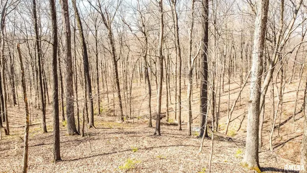 $320,000 | Tbd Berryville Road, Jonesboro, IL 62952